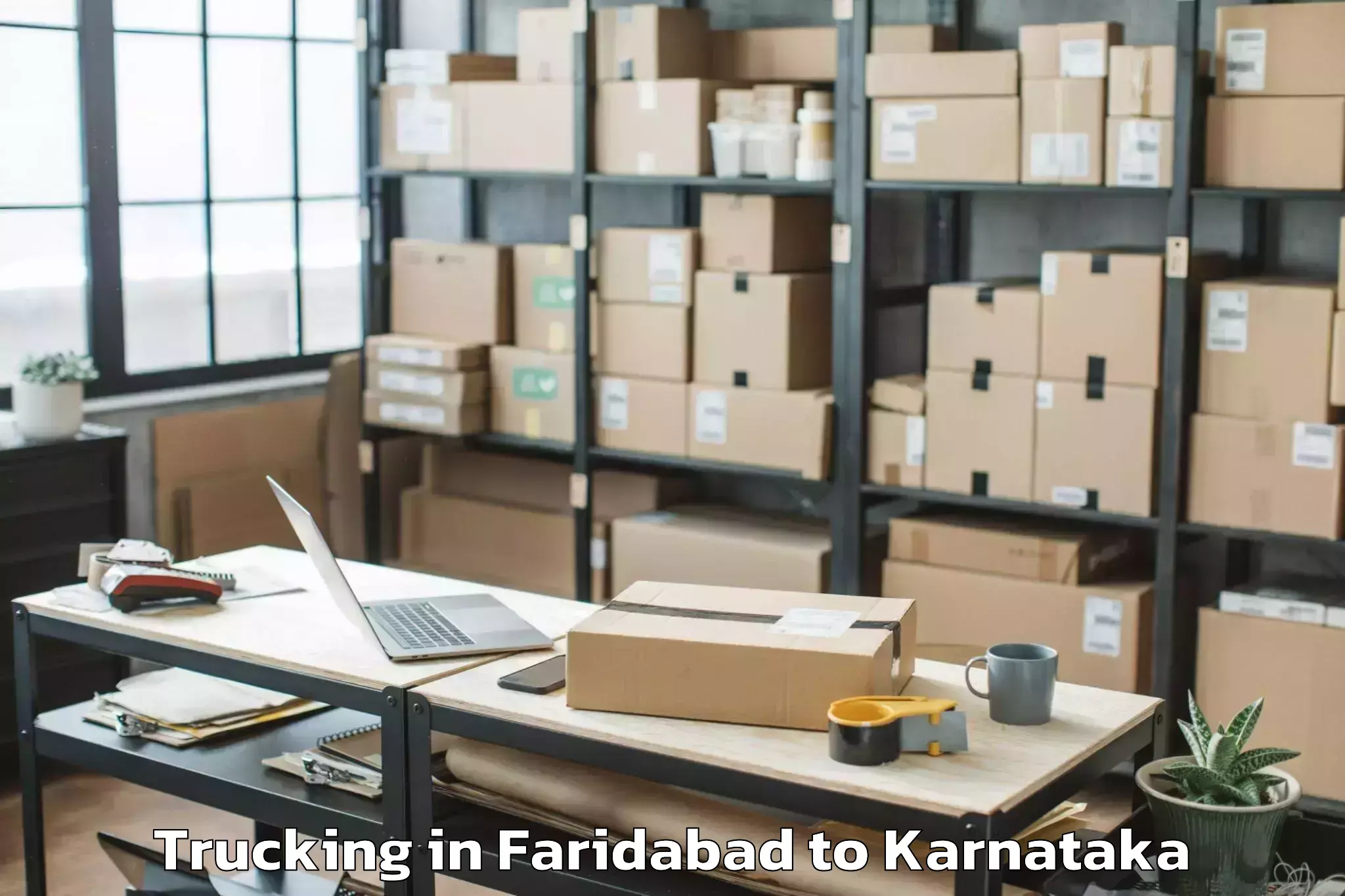 Leading Faridabad to Thamballapalle Trucking Provider